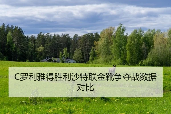 C罗利雅得胜利沙特联金靴争夺战数据对比