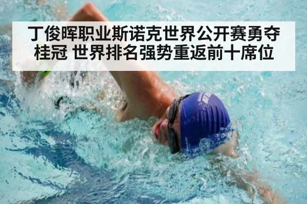 丁俊晖职业斯诺克世界公开赛勇夺桂冠 世界排名强势重返前十席位