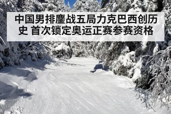 中国男排鏖战五局力克巴西创历史 首次锁定奥运正赛参赛资格