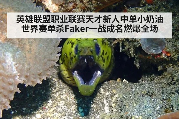 英雄联盟职业联赛天才新人中单小奶油世界赛单杀Faker一战成名燃爆全场